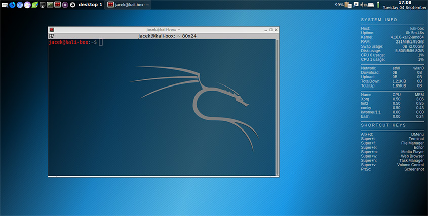 Kali Linux OS